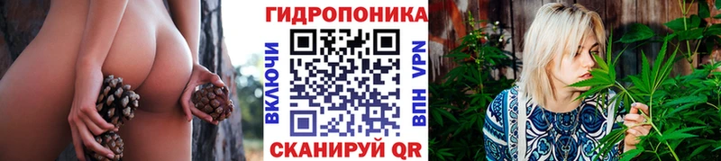Купить наркотик Гвардейск ГАШ  мега ТОР  АМФЕТАМИН  Лсд 25  Меф мяу мяу  Бошки Шишки  Cocaine 
