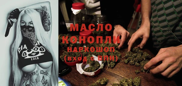 крисы Сатка