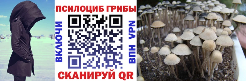 Псилоцибиновые грибы прущие грибы  как найти наркотики  OMG сайт  Гвардейск 